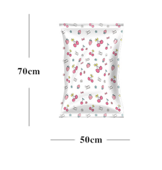 Everyday Ease Co. Vacuum Compression Storage Bags for Organizing Clothes